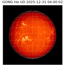 gong - 2025-12-31T04:00:02