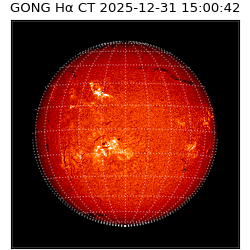 gong - 2025-12-31T15:00:42