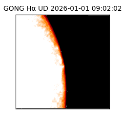 gong - 2026-01-01T09:02:02