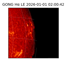 gong - 2026-01-01T02:00:42