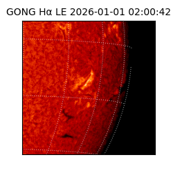 gong - 2026-01-01T02:00:42