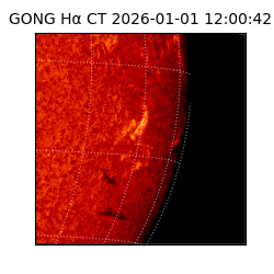 gong - 2026-01-01T12:00:42