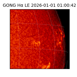 gong - 2026-01-01T01:00:42