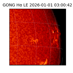 gong - 2026-01-01T03:00:42