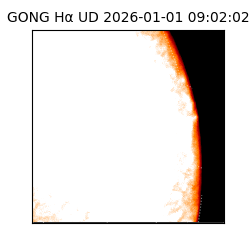 gong - 2026-01-01T09:02:02
