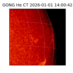 gong - 2026-01-01T14:00:42