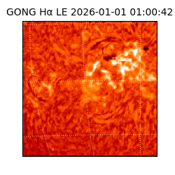 gong - 2026-01-01T01:00:42