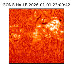 gong - 2026-01-01T23:00:42