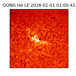 gong - 2026-01-01T01:00:42