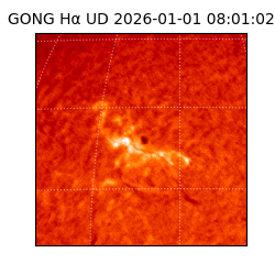 gong - 2026-01-01T08:01:02