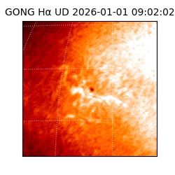 gong - 2026-01-01T09:02:02