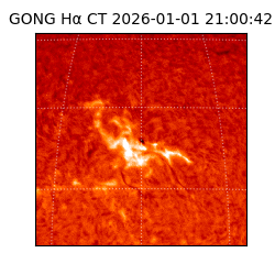 gong - 2026-01-01T21:00:42