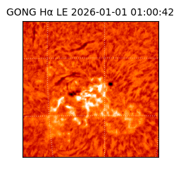 gong - 2026-01-01T01:00:42