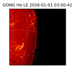 gong - 2026-01-01T03:00:42