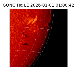 gong - 2026-01-01T01:00:42