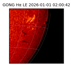 gong - 2026-01-01T02:00:42