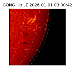 gong - 2026-01-01T03:00:42