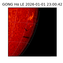 gong - 2026-01-01T23:00:42