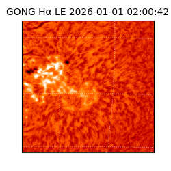 gong - 2026-01-01T02:00:42