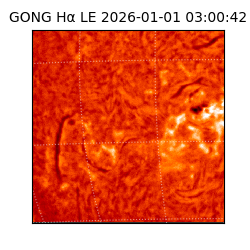 gong - 2026-01-01T03:00:42