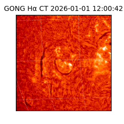 gong - 2026-01-01T12:00:42