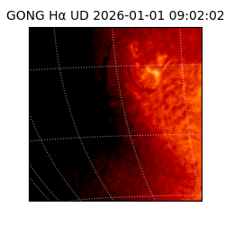 gong - 2026-01-01T09:02:02
