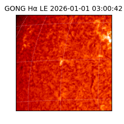 gong - 2026-01-01T03:00:42