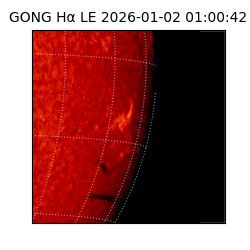 gong - 2026-01-02T01:00:42