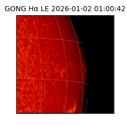 gong - 2026-01-02T01:00:42