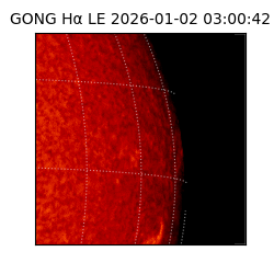 gong - 2026-01-02T03:00:42