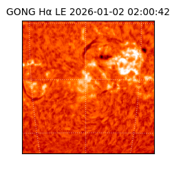 gong - 2026-01-02T02:00:42