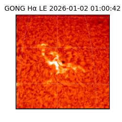 gong - 2026-01-02T01:00:42