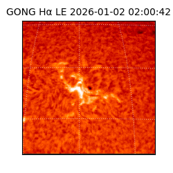 gong - 2026-01-02T02:00:42