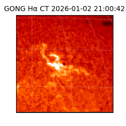 gong - 2026-01-02T21:00:42