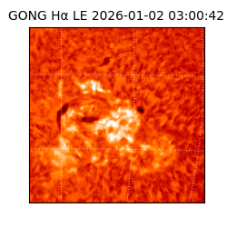 gong - 2026-01-02T03:00:42