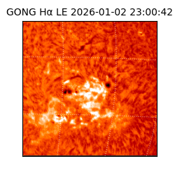 gong - 2026-01-02T23:00:42
