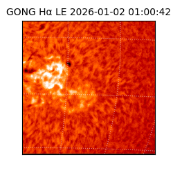 gong - 2026-01-02T01:00:42