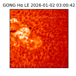 gong - 2026-01-02T03:00:42