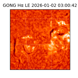 gong - 2026-01-02T03:00:42