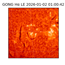 gong - 2026-01-02T01:00:42
