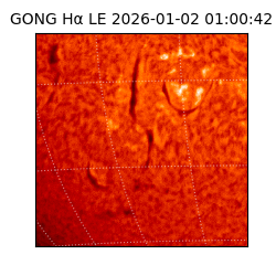 gong - 2026-01-02T01:00:42