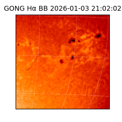 gong - 2026-01-03T21:02:02