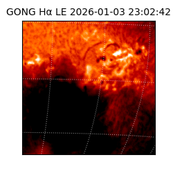 gong - 2026-01-03T23:02:42