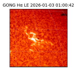 gong - 2026-01-03T01:00:42
