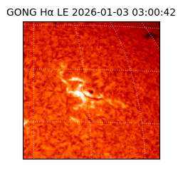 gong - 2026-01-03T03:00:42