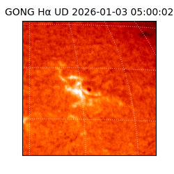 gong - 2026-01-03T05:00:02
