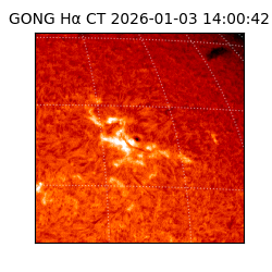 gong - 2026-01-03T14:00:42