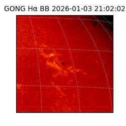 gong - 2026-01-03T21:02:02