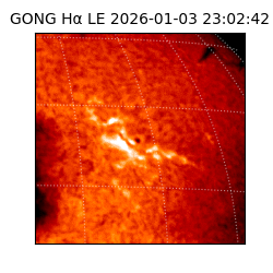 gong - 2026-01-03T23:02:42