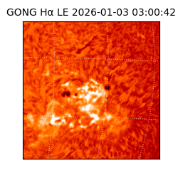 gong - 2026-01-03T03:00:42